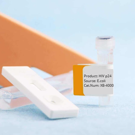 [XB-4000] Rapid-Lenti HIV-1 p24 ELISA Kit (Single Wash)