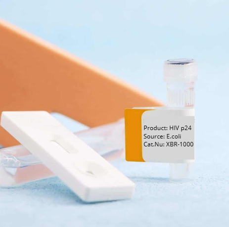 [XBR-1000] Extended Range HIV-1 p24 ELISA Kit, 96 wells