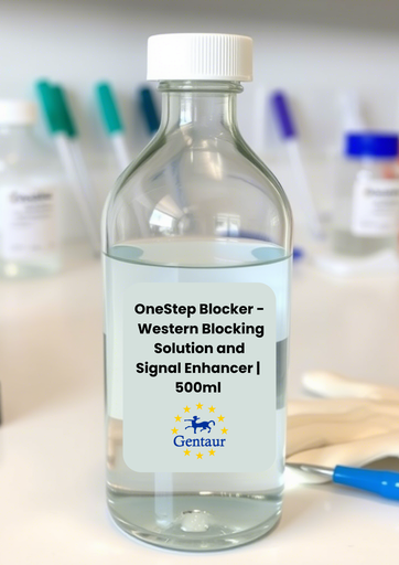 [M0040-B500ML] OneStep Blocker - Western Blocking Solution and Signal Enhancer 