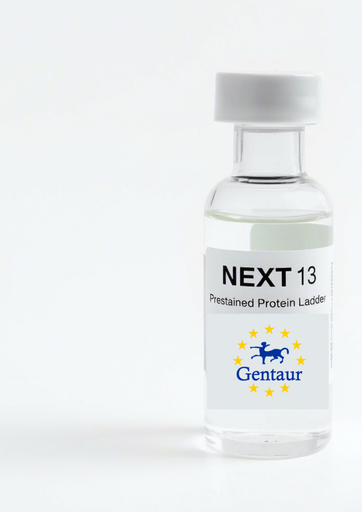 [M0060-B500] NEXT 13 Prestained Protein Ladder 