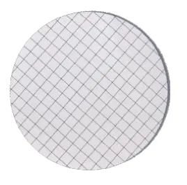 [S1-01072025] Gridded Membrane Filters